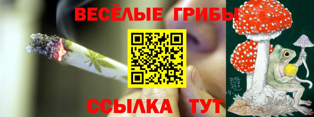 Псилоцибиновые грибы прущие грибы  Вход с VPN  Астрахань 